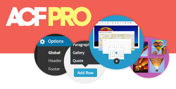 Advanced Custom Fields Pro v6.3.11