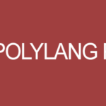 Polylang Pro v3.6.5