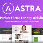 Astra Pro Addon v4.8.4