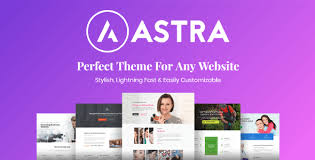 Astra Pro Addon v4.8.4